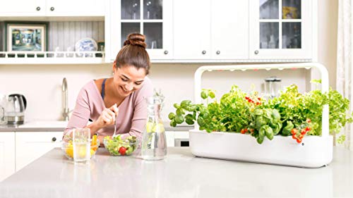 Emsa 3 Cápsulas Menta Click & Grow, Semillas apta para Smart Garden, huerto urbano, tierra inteligente, jardín hidropónico, resultados en 40 días, Sistema automático iluminación LED