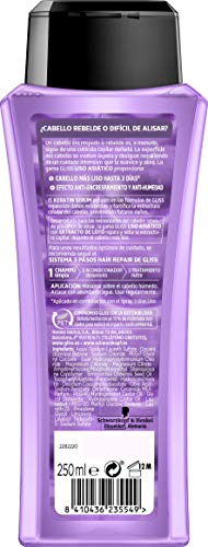 Gliss - Champú Liso Asiático, 250ml, Paquete de 6 - total: 1500ml