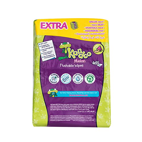 KANDOO 4 Pack de 55 Lingettes Melon Nouvelle Formule