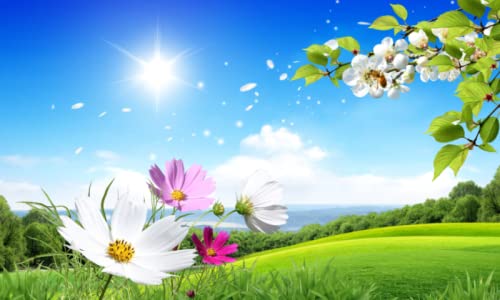Nature Image Wallpapers