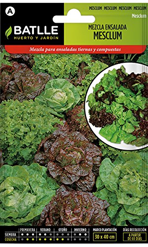 Semillas Hortícolas - Lechuga Mesclum - Batlle