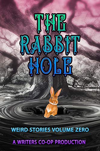 The Rabbit Hole : Weird Stories Volume Zero: A Writers Coop Production (English Edition)