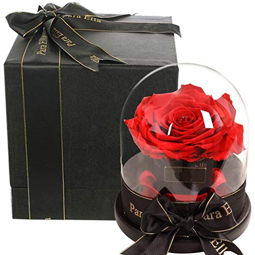XYXH Rosa Eterna Bella y Bestia Cristal, Flor Eterna Cupula, Rosa Real Preservada, Gran Regalo para la Esposa, Novia, Cumpleaños, día de la Madre