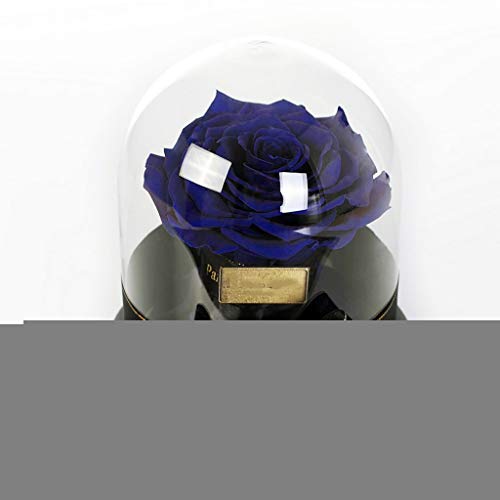 XYXH Rosa Eterna Bella y Bestia Cristal, Flor Eterna Cupula, Rosa Real Preservada, Gran Regalo para la Esposa, Novia, Cumpleaños, día de la Madre