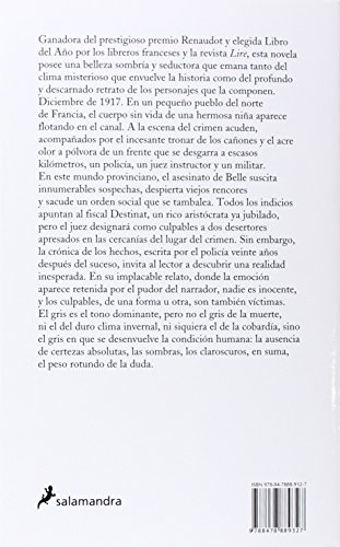 Almas grises (Narrativa)