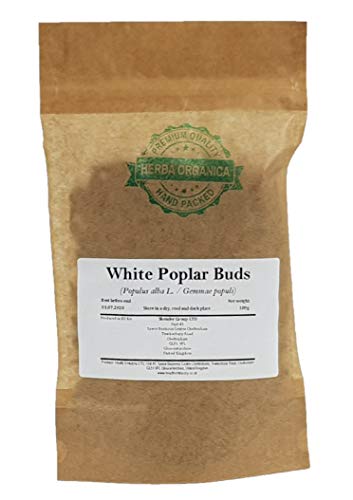 Brotes de Álamo Blanco/Populus Alba L/White Poplar Buds # Herba Organica # (100g)