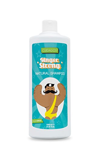 Cuidados Champú Jengibre Ginger Strong, Estimulante capilar. Anticaspa. Antioxidante. Con Panthenol - 1 litro