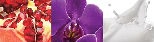 Euphoria c.k. Eau De Parfum 160 ml vapo