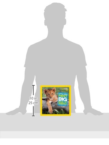Little Kids First Big Book of Animals (First Big Book)