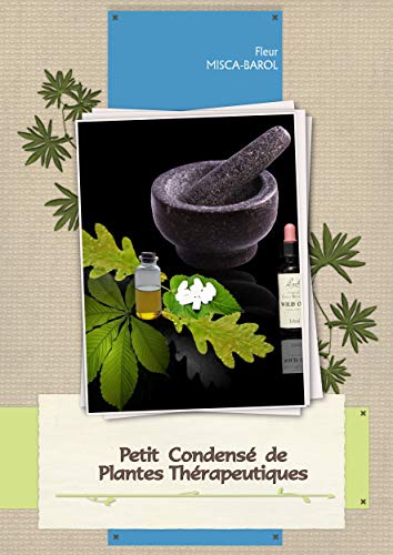 Petit Condensé de Plantes Thérapeuthiques (French Edition)