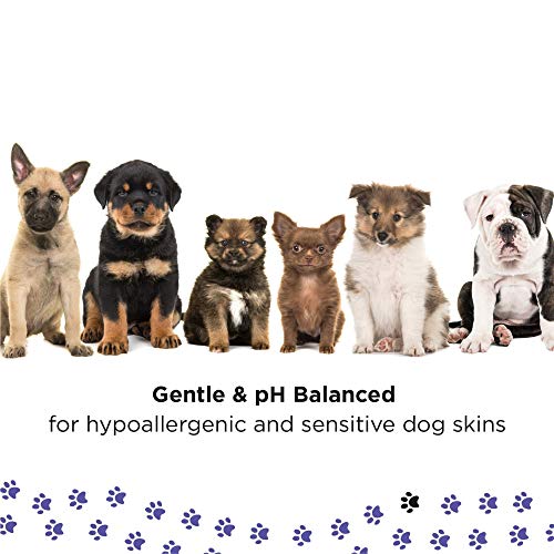 PETUCHI Spray Desenredante para Perros; Cepillado Fácil; Hipoalergénico con Jojoba y Miel; No Necesita Aclarado; 250ml