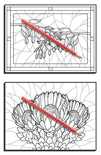 Stained Glass Flowers: An Adult Coloring Book with 50 Inspirational Flower Designs of Roses, Lilies, Tulips, Cherry Blossoms, and More!