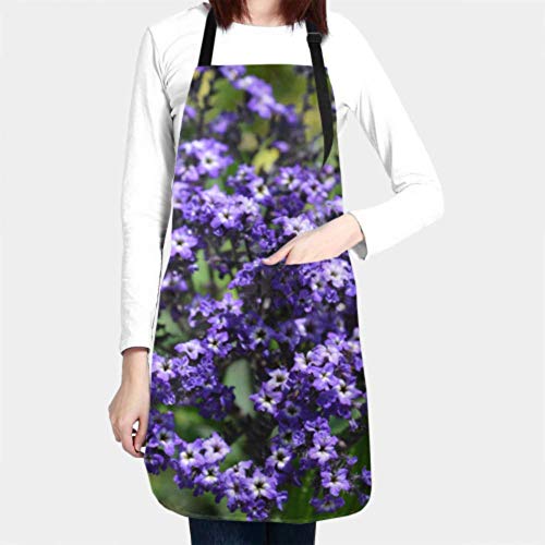 SUUJ Delantal Unisex, Impermeable Durable Ajustable Heliotropo Brotes Marinos Nombre Latino Heliotropio Delantales de Cocina Delantal de Arte para Lavar Platos Barbacoa Parrilla Restaurante Jardín