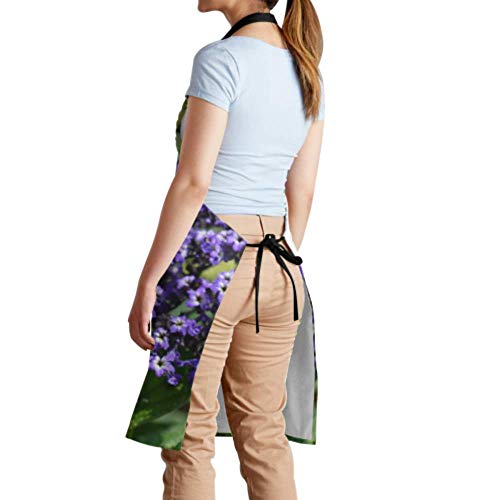 SUUJ Delantal Unisex, Impermeable Durable Ajustable Heliotropo Brotes Marinos Nombre Latino Heliotropio Delantales de Cocina Delantal de Arte para Lavar Platos Barbacoa Parrilla Restaurante Jardín