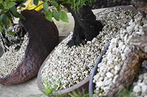 Cuir D'or POMICE 1KG sustrato bonsais