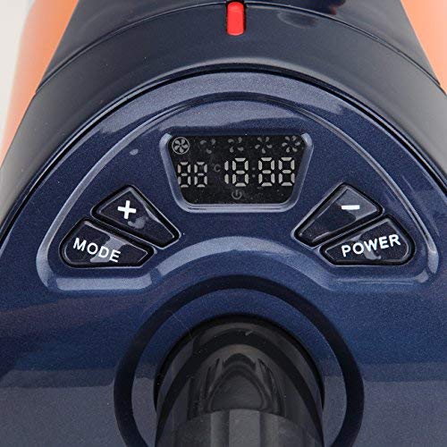 Ridgeyard Secador de Pelo para Perros y Gatos 2800W Mascotas Secador de bajo Ruido Led Pantalla 8 Niveles de Velocidad