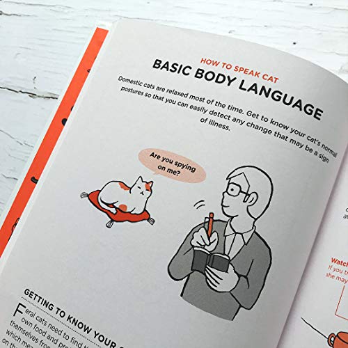 What Cats Want: An Illustrated Guide for Truly Understanding Your Cat