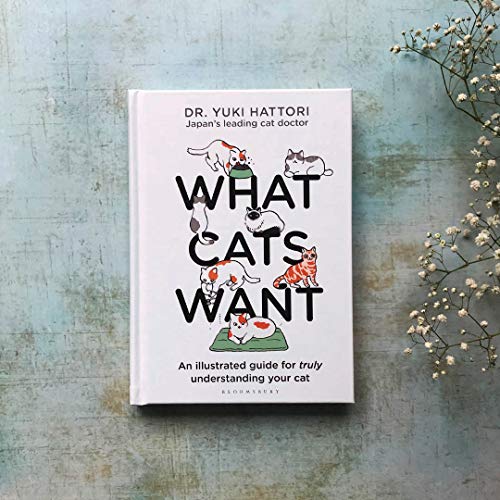 What Cats Want: An Illustrated Guide for Truly Understanding Your Cat