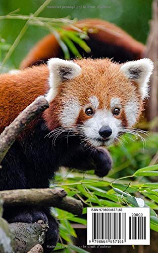 AGENDA 2020-2021 / 300 pages / PANDA ROUX - Animal Sauvage / Collège - Lycée - Etudiant - Université