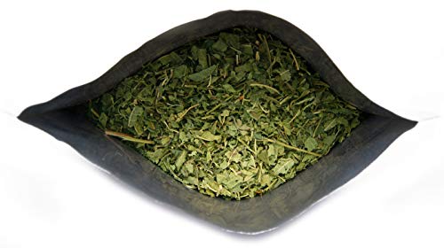 Aloysia citrodora, conocida como cedrón, cidrón, hierbaluisa o verbena de Indias 400G
