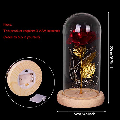 ANBET Hoja de Oro 24K Rosa en Cubierta de Vidrio, Bella y la Bestia Rose en Glass Dome Rosa eterna LED Light para el Regalo de Bodas de Aniversario de San Valentín