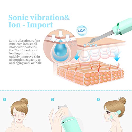 ANLAN Peeling Ultrasónico Facial Skin Scrubber Exfoliación Facial Ultrasónica Limpiador de Poros para Limpieza Facial y Cuidado Facial