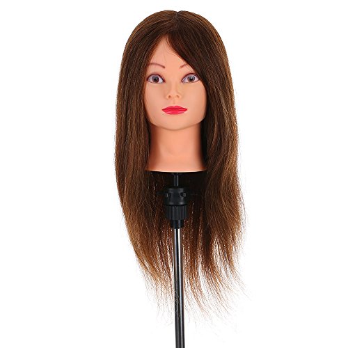 Anself - Maniquí de Cabeza, Color Castaño Oscuro(con soporte),para Aprendizaje Práctica de Peluquerías