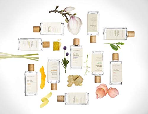 Atelier Rebul EDC GREEN TEA INTENSE 50ML