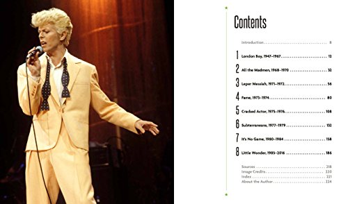 Bowie: The Illustrated Story