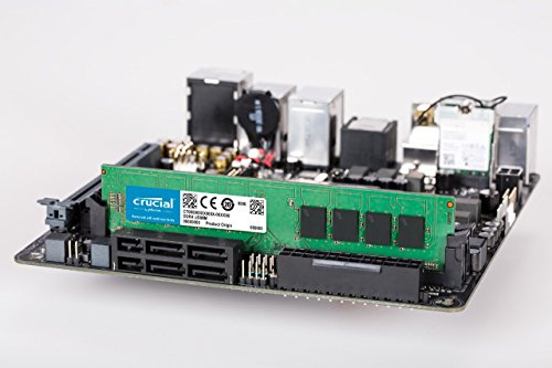 Crucial CT8G4DFS824A - Memoria RAM de 8 GB (DDR4, 2400 MT/s, PC4-19200, Single Rank x 8, DIMM, 288-Pin)