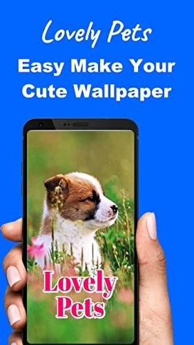 Fondo de Pantalla de Animales Lindos