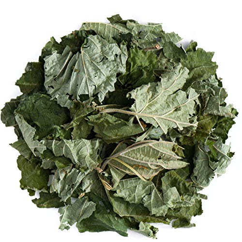 Hoja Avellana Té Orgánica - Corylus Avellana - 200g