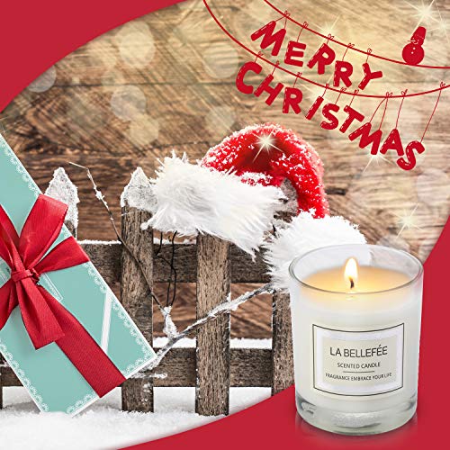 LA BELLEFÉE - Set de Velas de Cera de Soja con Aroma a votivo, Aroma a Naranja, Azul, prefecto para cumpleaños, baño, Yoga, Navidad, día del Padre, día de San Valentín, 3 Paquetes
