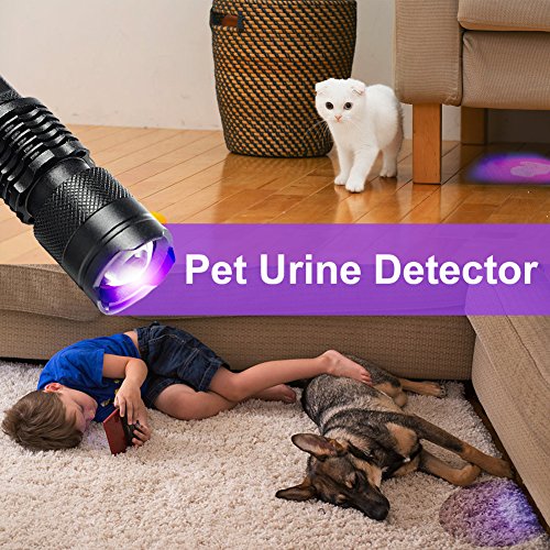 Linterna UV, Luz Negra, Ultravioleta pequeña mano 395 nm LED, Detector de orina para mascotas, perros y gatos, Lámpara UV para Inspección de Agentes Fluorescentes, 1 Batería AA incluida.