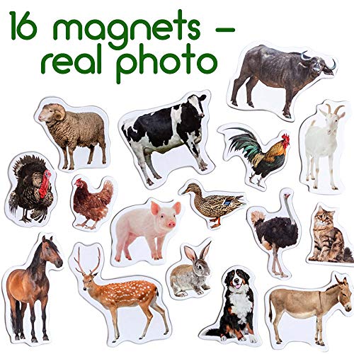 MAGDUM Imanes Animales Granja Foto Real de Pizarra Infantil para niños - Imanes Nevera Grandes - Juguetes EDUCATIVOS bebé 3 años - Imanes Pizarra magnética para Aprender - Teatro de imán para niños