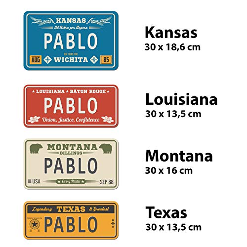 Megadecor Placa de Matrícula Decorativa de Aluminio o PVC Impreso de Estilo Vintage Americano Personalizado con Nombre 100% Personalizable 8 Modelos (New York, PVC 5 mm)