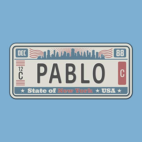 Megadecor Placa de Matrícula Decorativa de Aluminio o PVC Impreso de Estilo Vintage Americano Personalizado con Nombre 100% Personalizable 8 Modelos (New York, PVC 5 mm)