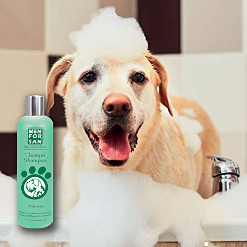 MENFORSAN Champú Aloe Vera Perros - 5 Litros,