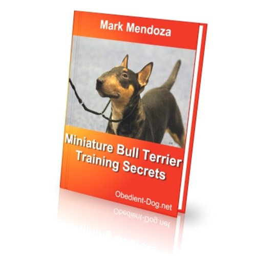 Miniature Bull Terrier Training Secrets (English Edition)