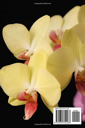 Notebook: Yellow And Pink Orchids On A Dramatic Black Backdrop , Journal for Writing, College Ruled Size 6" x 9", 110 Pages