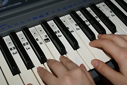 Piano teclado música Nota pegatinas etiquetas transparent Do-Re-Mi-Fa-Sol-La-Si