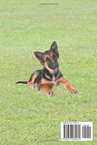 Please Note – Planner – I Love My German Shepherd: Daily Planner, 6" x 9", 212 Pages, 26 Weeks, Great Gift Idea for German Shepherd or Alsatian owners.