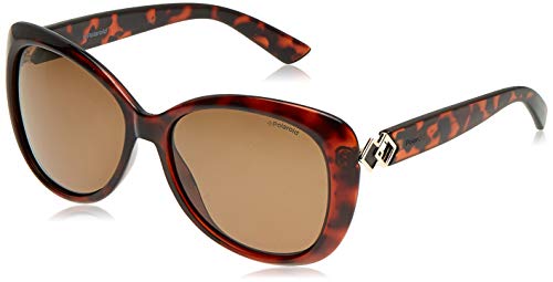 Polaroid PLD 4050/S SP 086 58 gafas de sol, Marrón (Dark Havana/Bronze Pz), Mujer