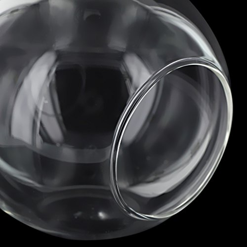 Portavelas o jarrón para flores colgante de cristal transparente, vidrio, Clear Dia.10cm
