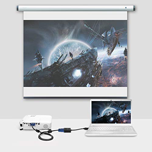 Rankie Cable adaptador de VGA a VGA, 3 Metros, Negro