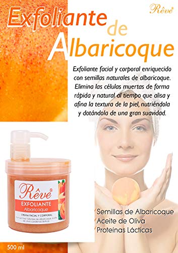 REVE Exfoliante Facial y Corporal de Albaricoque 500 ml - Gel crema, deja la piel suave, elimina células muertas, limpia poros y espinillas - Hombre y Mujer - Cosmética natural sin parabenes