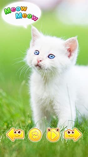 sonidos y fotos de animales