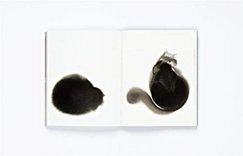The Book Of The Cat: Cats in Art