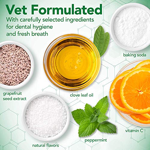 Vet's Best Pasta de dientes para perros, limpieza de dientes y gel para el cuidado dental de aliento fresco, 100g