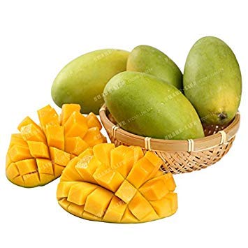 Vistaric 2 Unids Semillas de Mango Mini Mangifera Indica Semillas de Ãrboles Bonsai Semillas de Ãrboles Raras OrgÃ¡nicas Deliciosas Semillas de Frutas Planta DIY Para El Hogar JardÃ­n 4